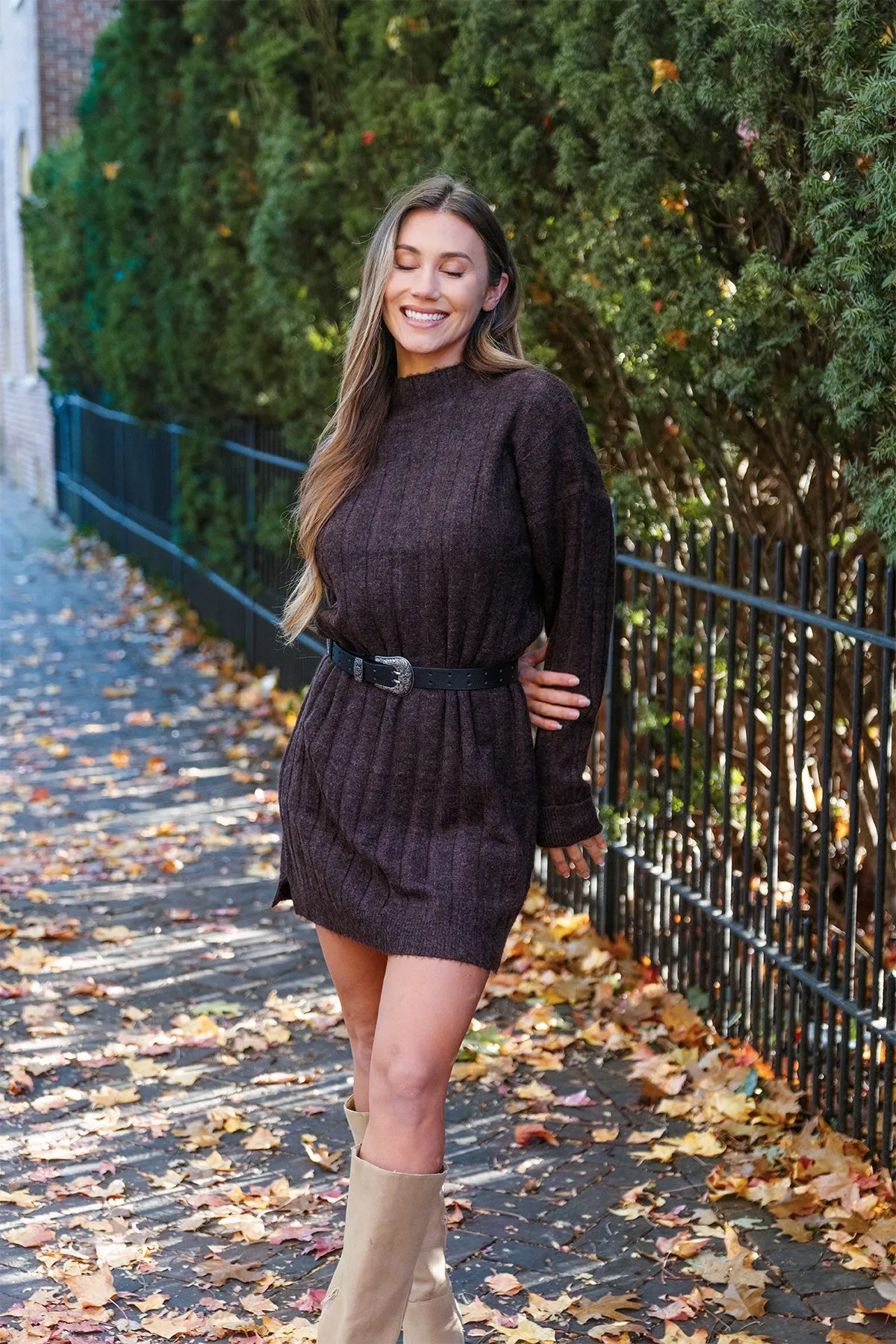 Brown Mock Neck Sweater Dress