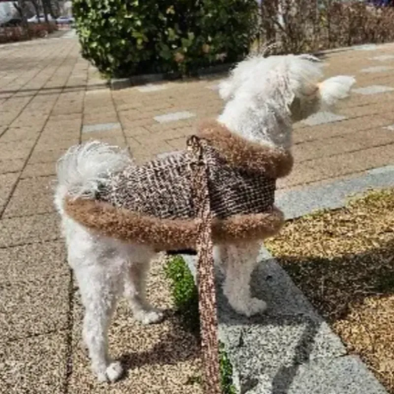 Tres Chic Brown Tweed Dog Coat, Hat & Leash Set